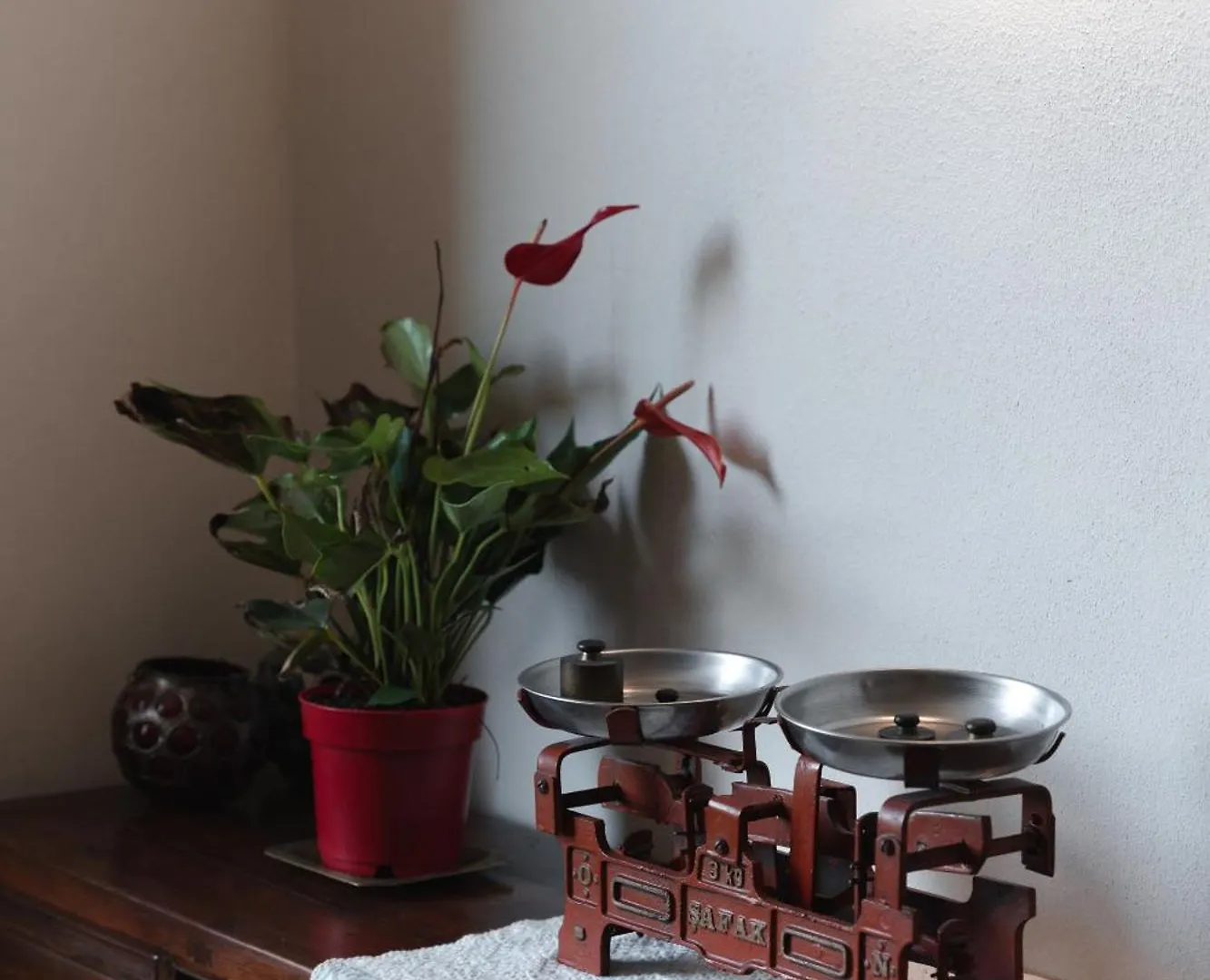 Guest house Corte Castello Affi